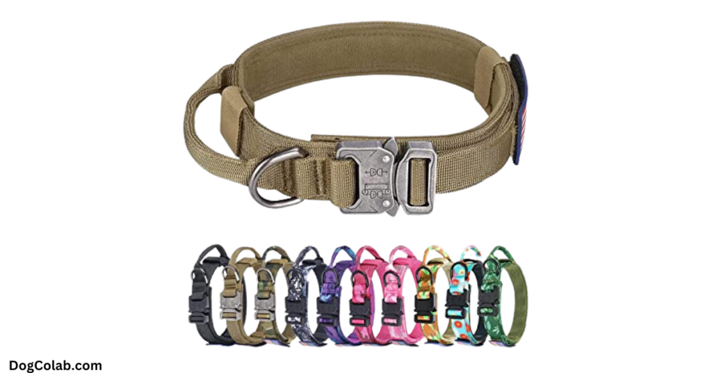 best dog collar for german shepherd