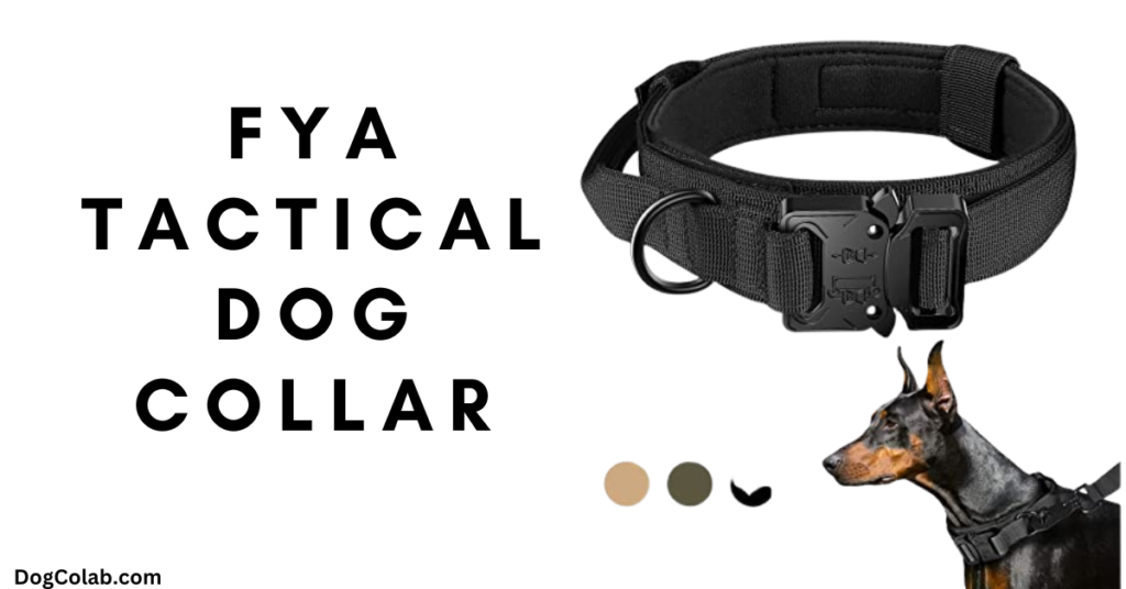 best dog collar for german shepherd