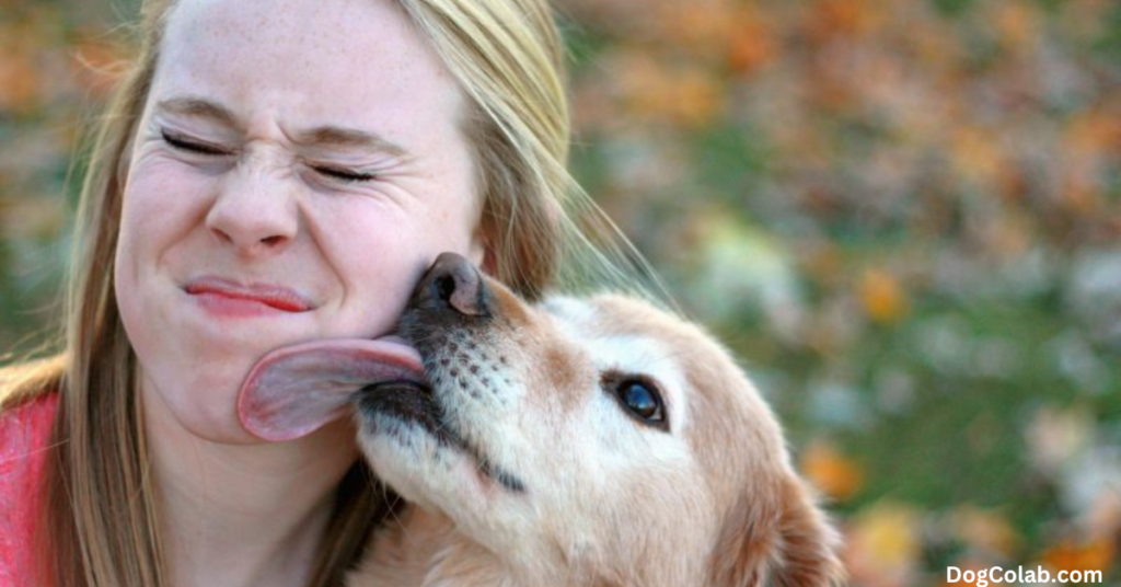 why do dogs lick you in the morning