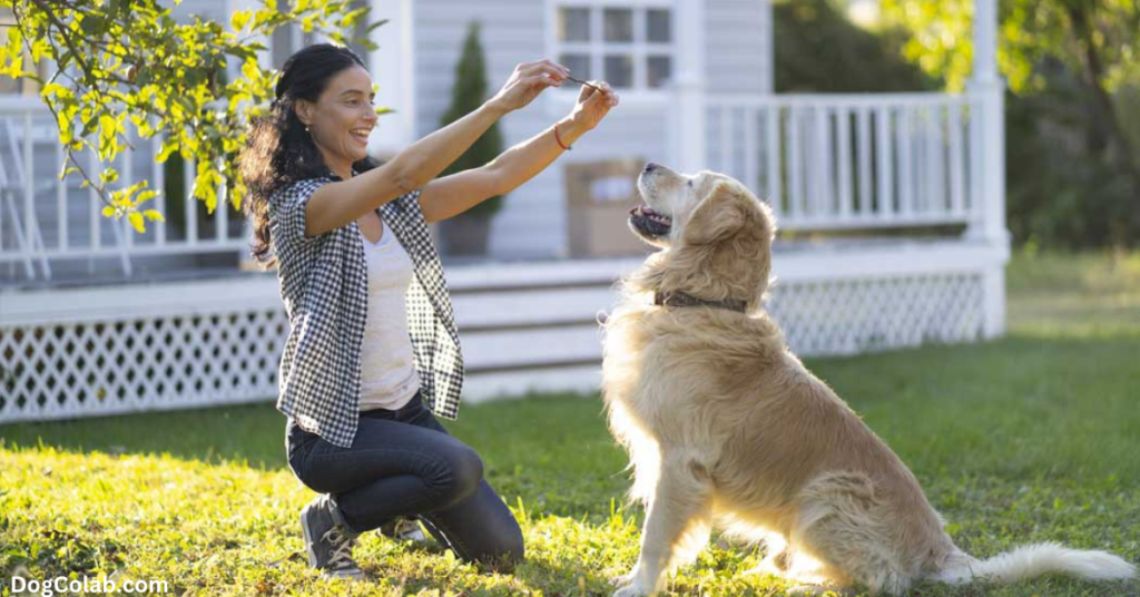 why do dogs lick you in the morning