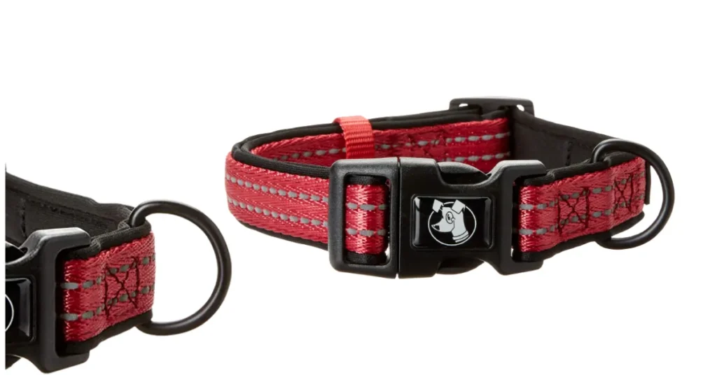 best dog collar for labs