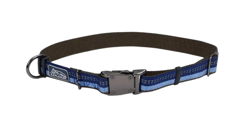 best dog collar for labs