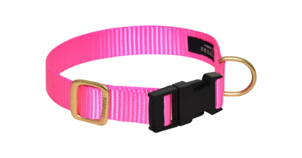 best dog collar for labs