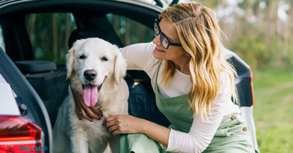 how to stop a dog barking in the car