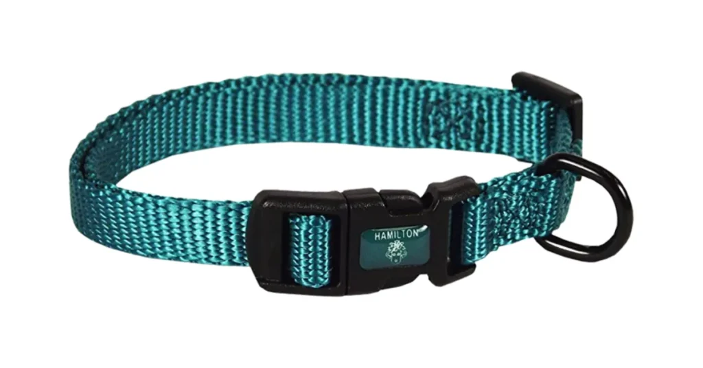 best dog collar for labs