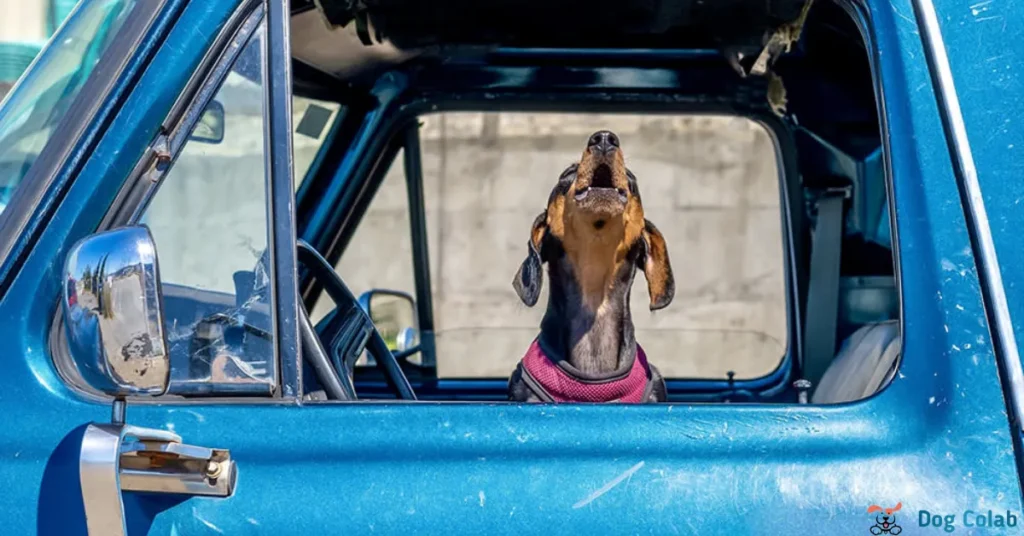 how to stop a dog barking in the car