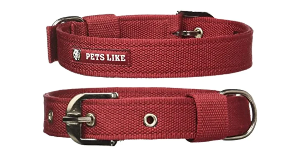 best dog collar for labs