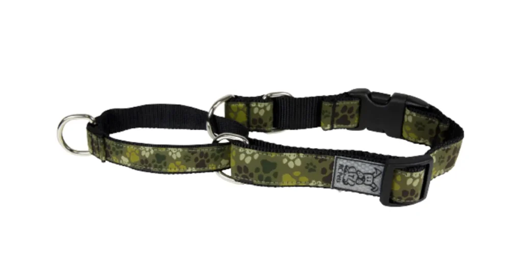 best dog collar for labs