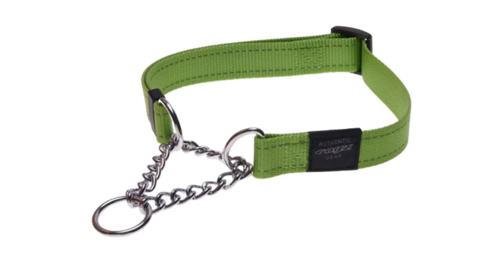 best dog collar for labs