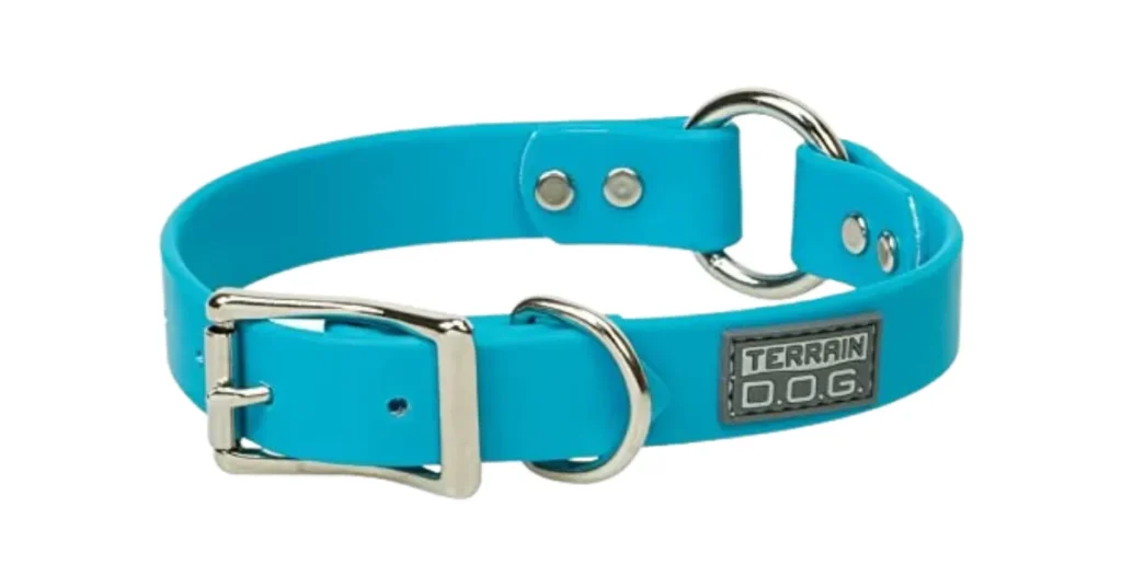 best dog collar for labs