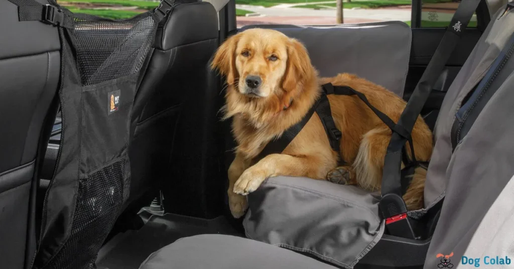 how to stop a dog barking in the car