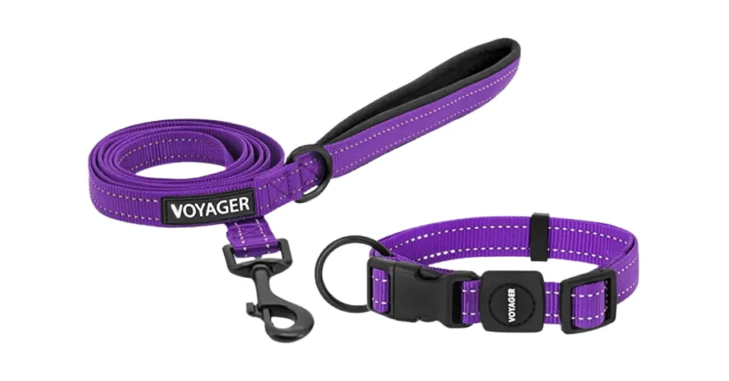 best training collar for aggressive dogs
