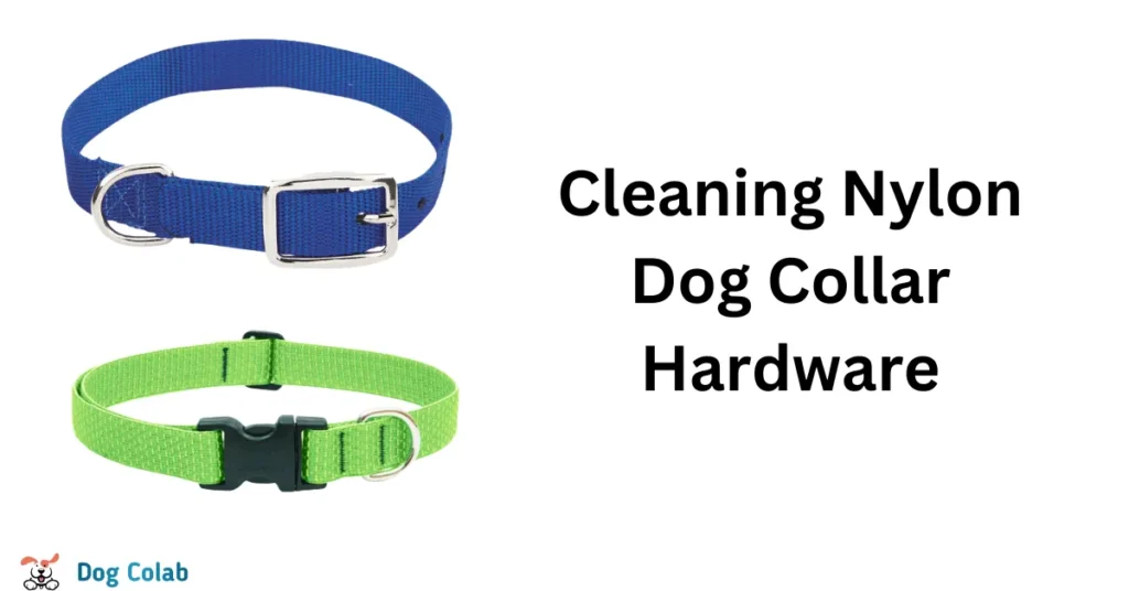 how to clean nylon dog collar
