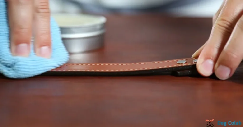 how to clean stinky leather dog collar
