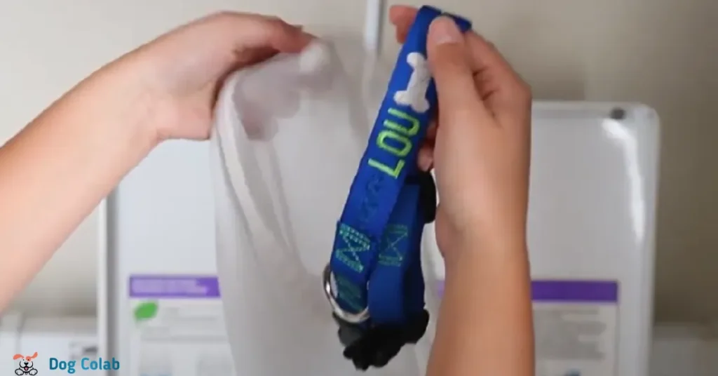 how to clean nylon dog collar
