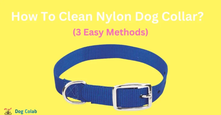 how to clean nylon dog collar