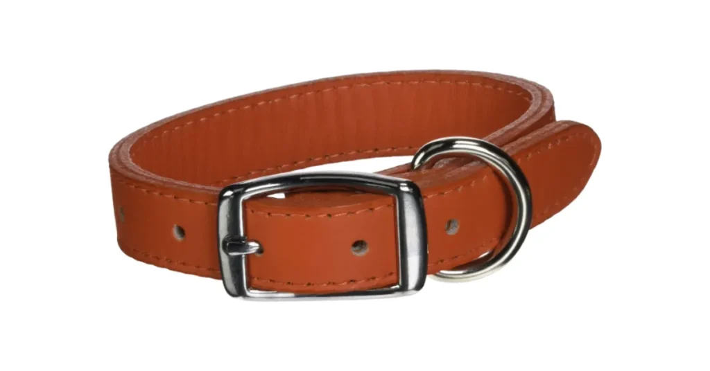 best collar color for brown dog