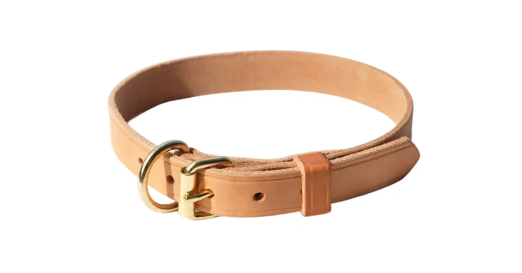 best collar color for brown dog