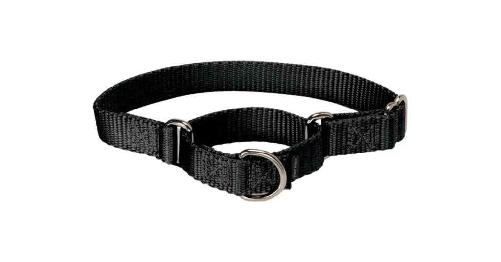 best collar for large dogs that pull