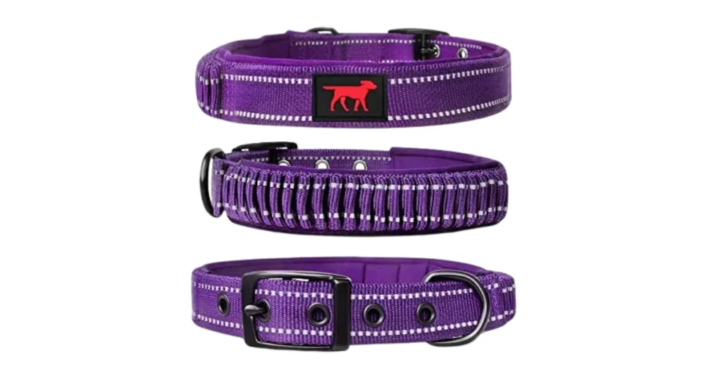 best dog collar for german shepherd