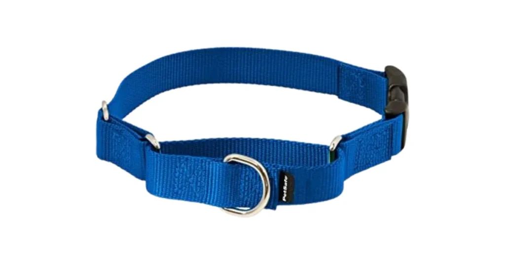 best dog collar to prevent matting