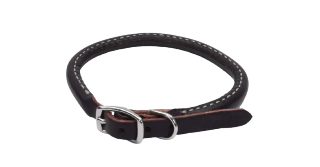 best collar for double coated dogs
