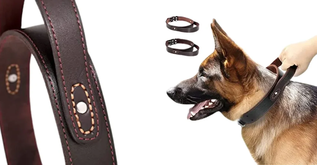 best dog collar for german shepherd