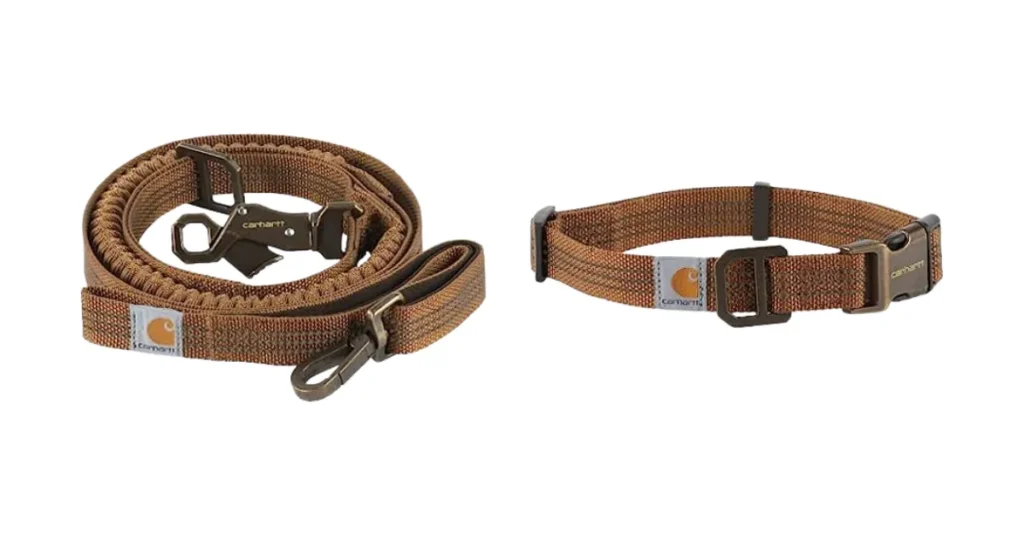 best dog collar for australian shepherd