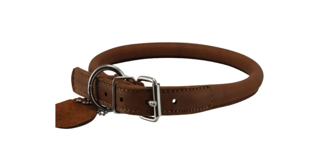 best collar for long hair dogs
