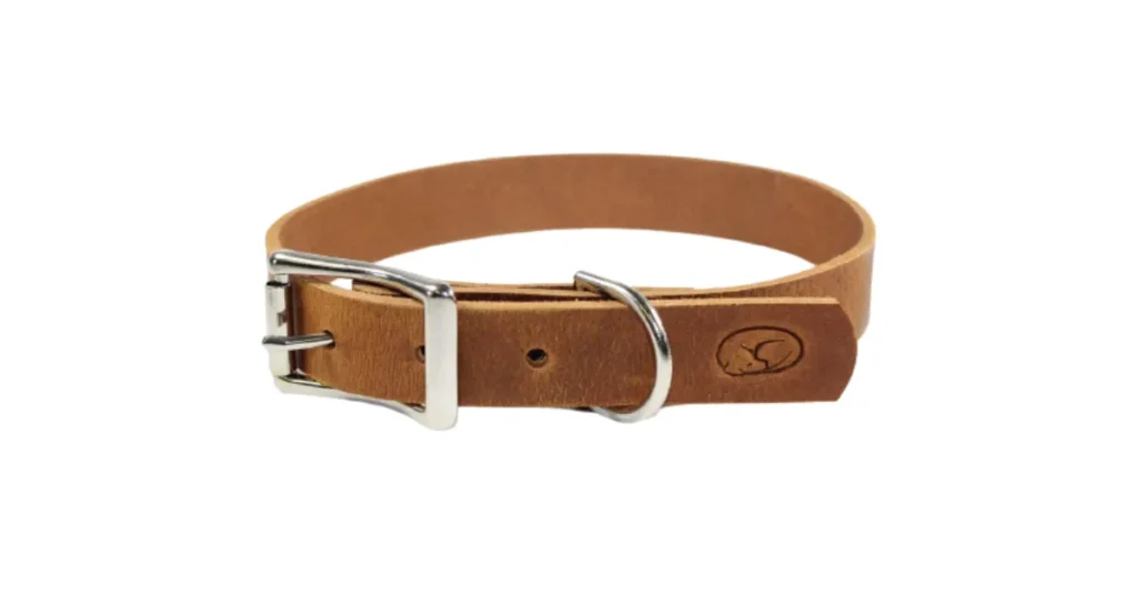 dog collars that don't cause matting
