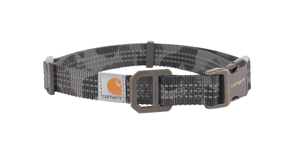 best dog collar for australian shepherd