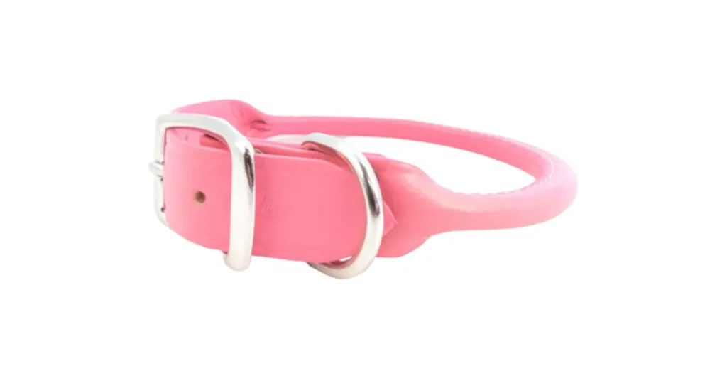 best training collar for poodles
