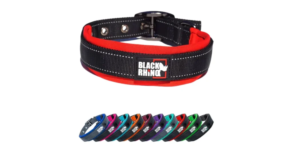 best training collar for huskies
