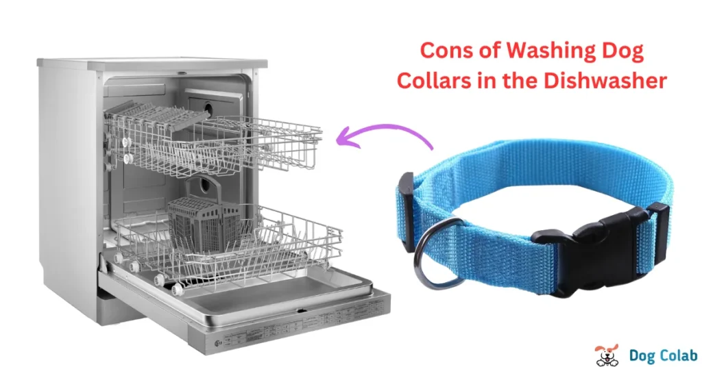 wash dog collar in dishwasher