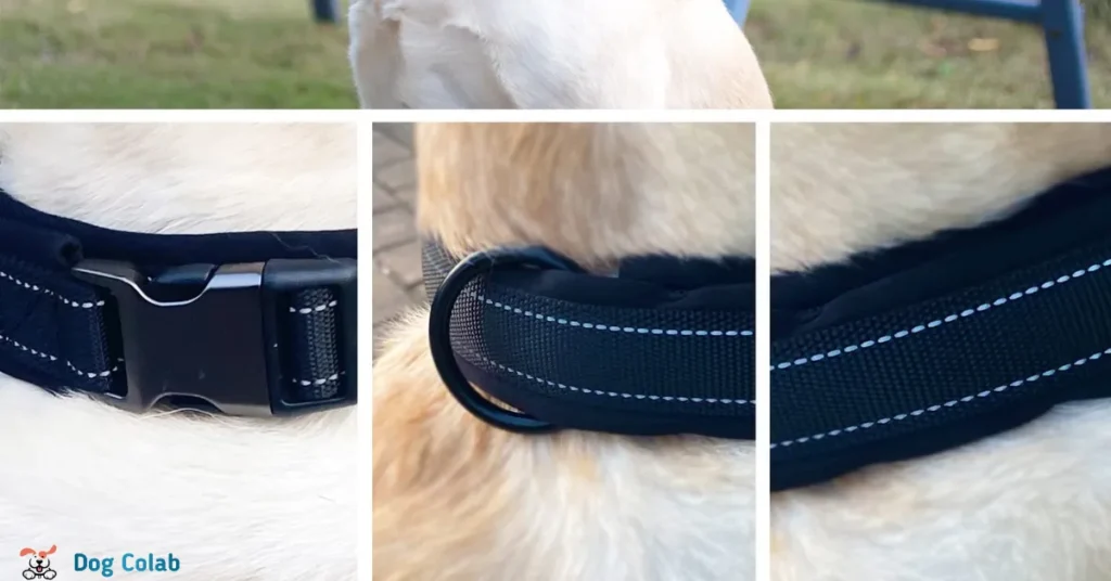 how to adjust a dog collar
