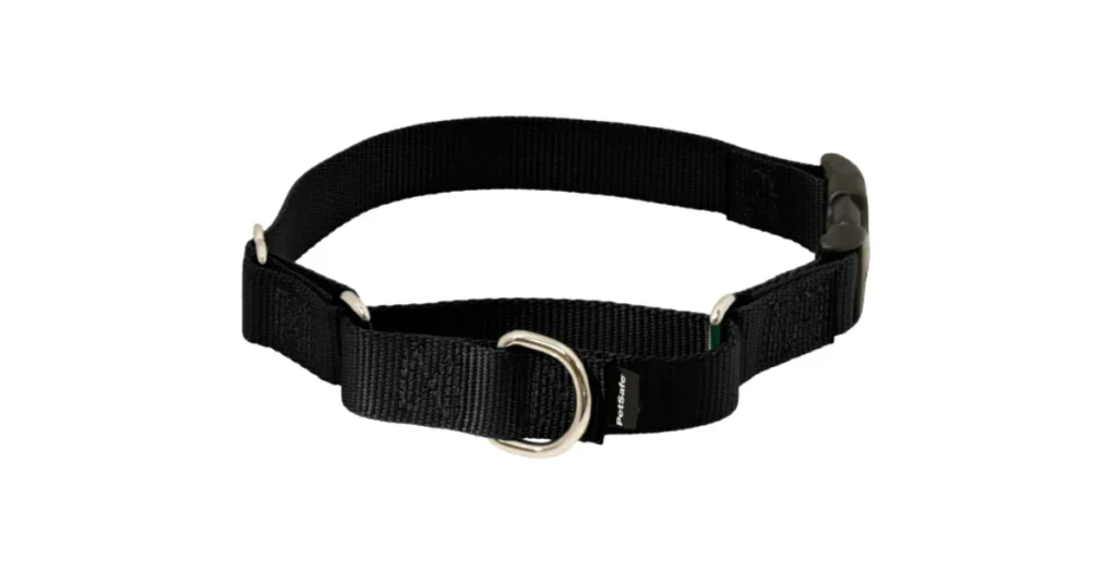 best dog training collar for husky
