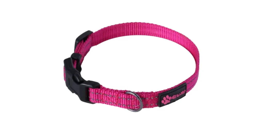 best training collar for husky puppy
