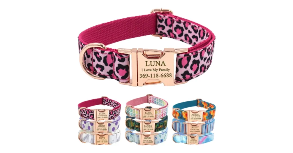 fancy standard poodle collars
