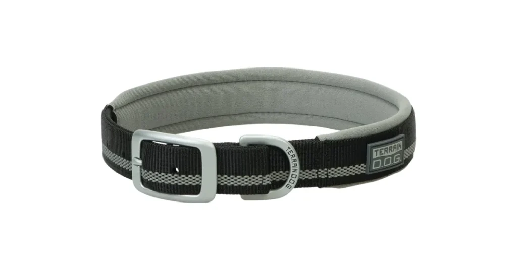 best training collar for huskies
