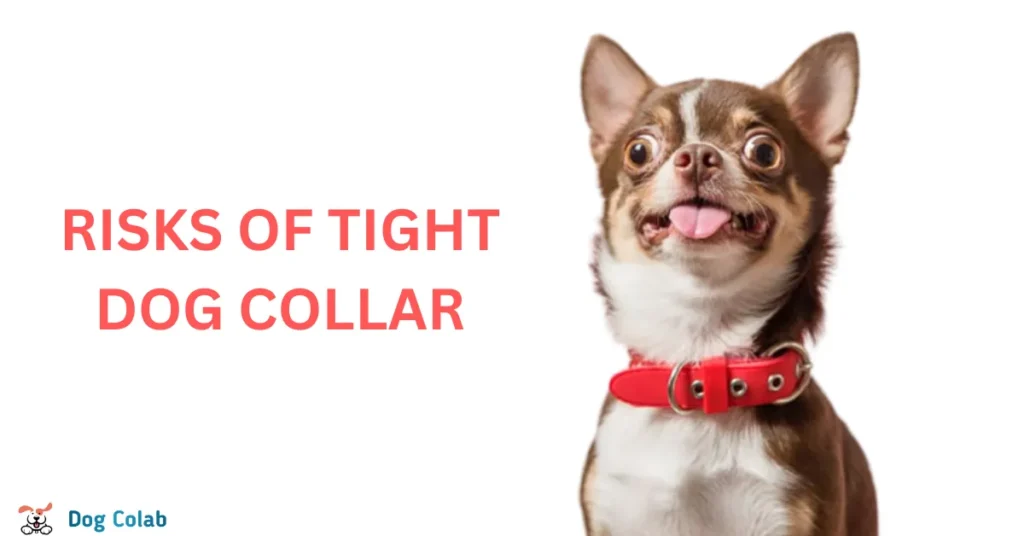 how to fix a dog collar that's too big
