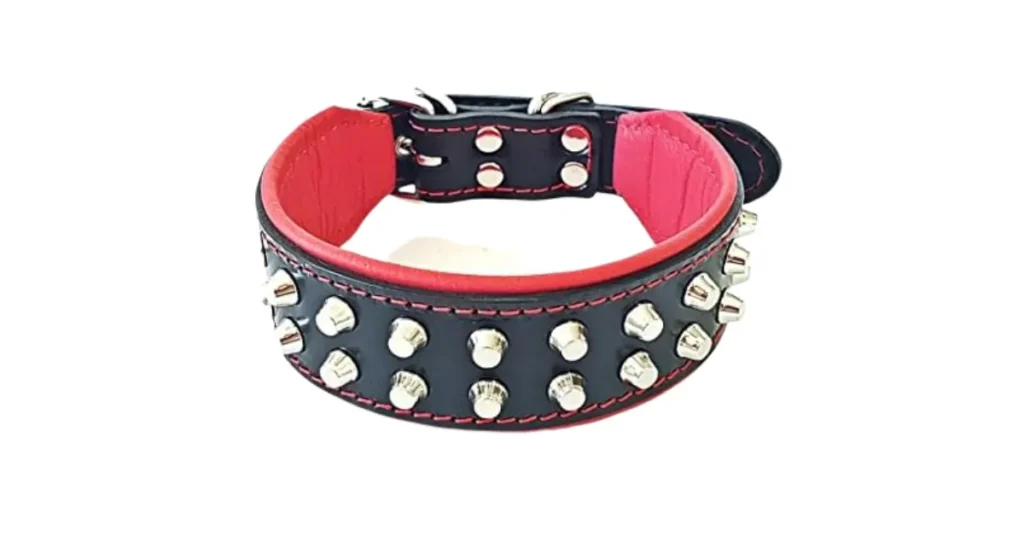 best doberman dog collars
