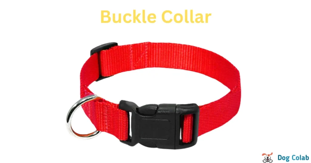 quick release dog collar
