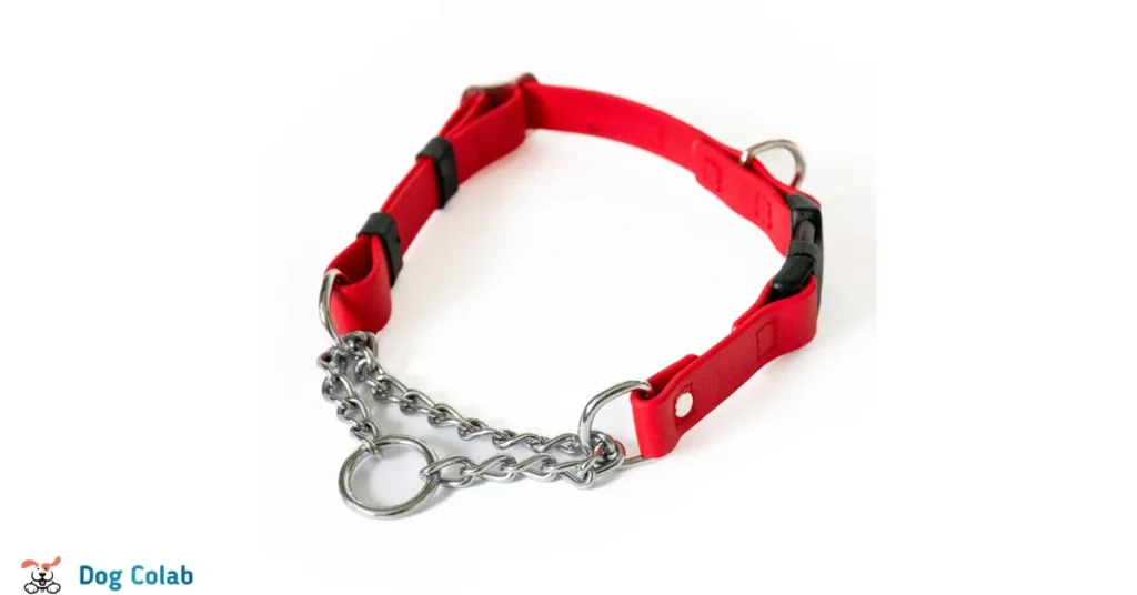 types of dog collar closures
