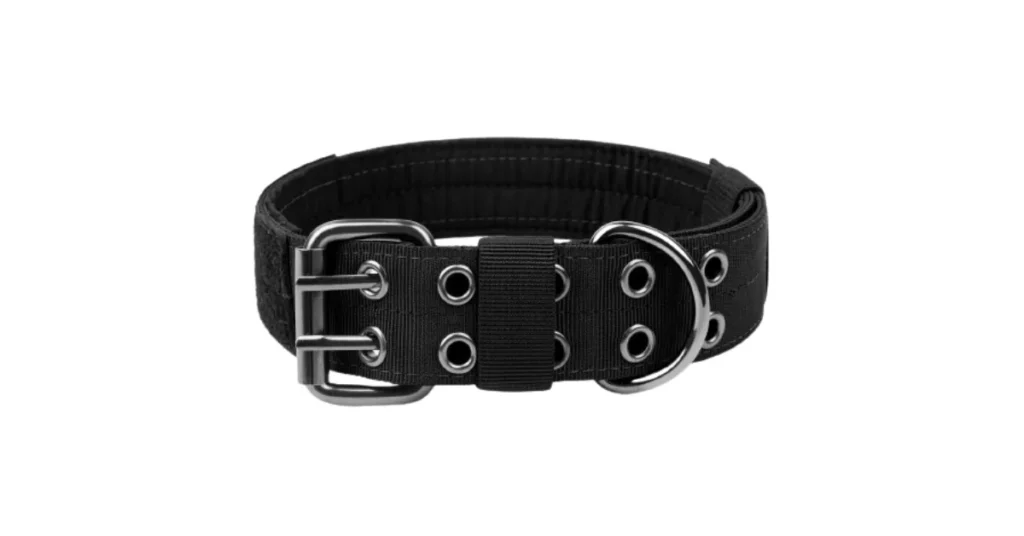 best training collar for dobermans
