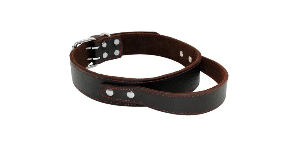 best training collar for dobermans
