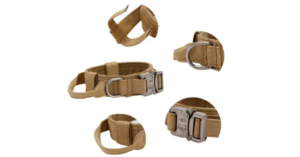 martingale collar for doberman 
