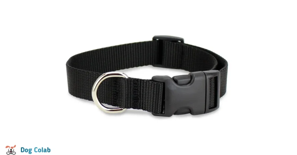 types of dog collar closures
