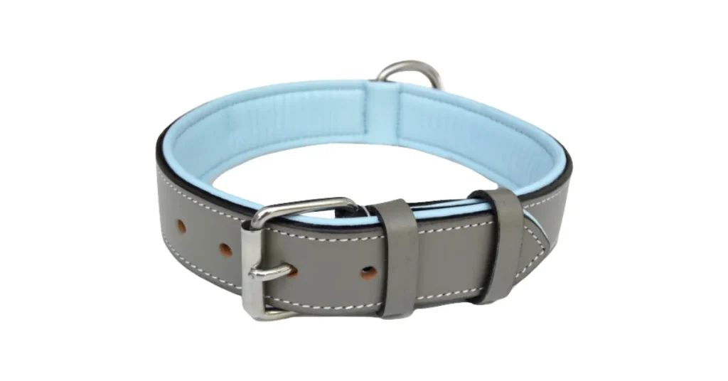 best dog collar for doberman
