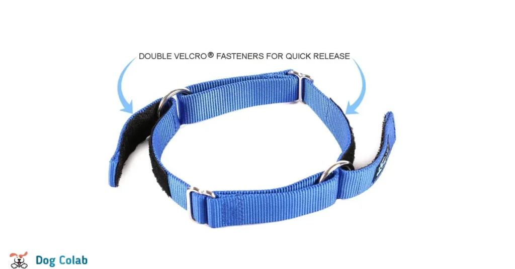 types of dog collar closures
