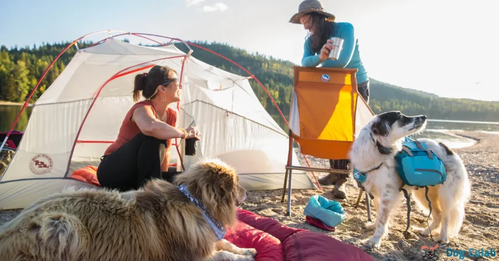 how to keep dogs cool when camping